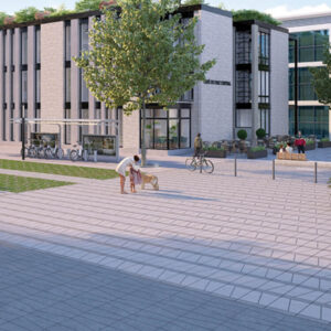 Vertex Paver